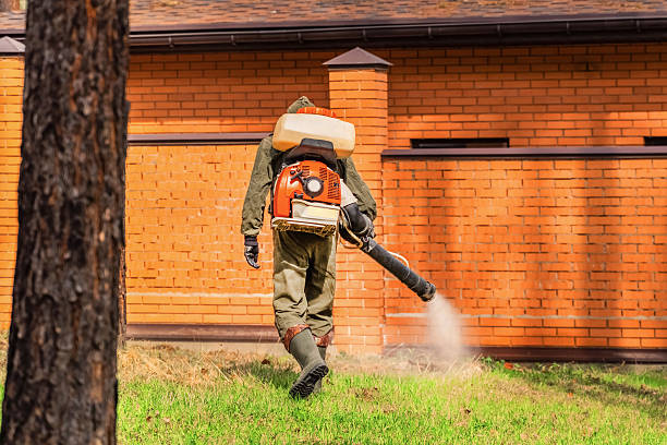 Trusted Fumigation Services service in Chimayo, NM - Nex Pest Control